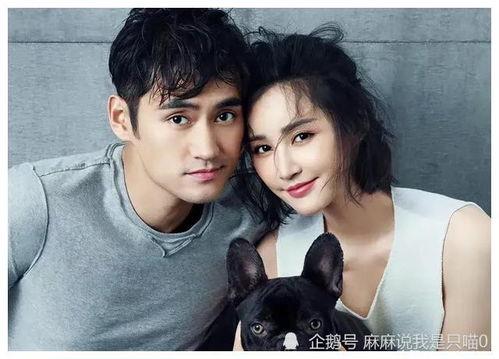 吃瓜娱乐圈有新瓜吃了